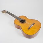 1670 5027 GUITAR